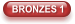 BRONZES 1